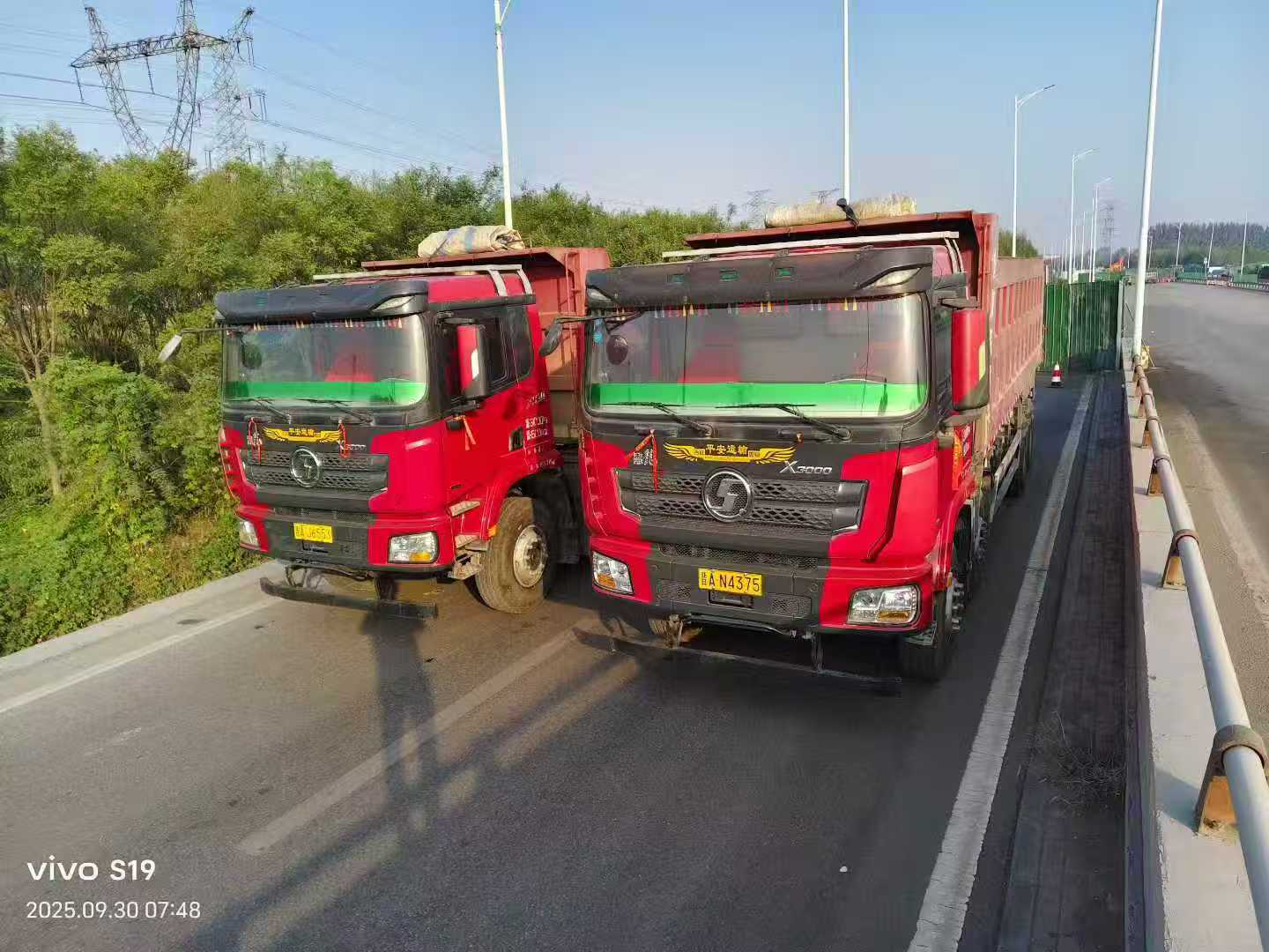 Premium Horse Hooves Vehicle 2020