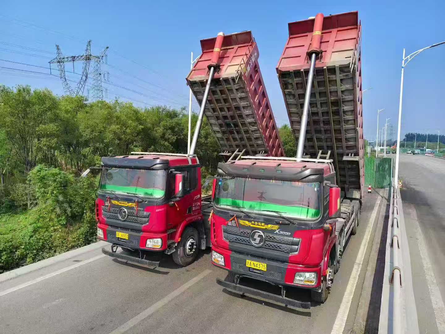 Premium Horse Hooves Vehicle 2020 - Image 2