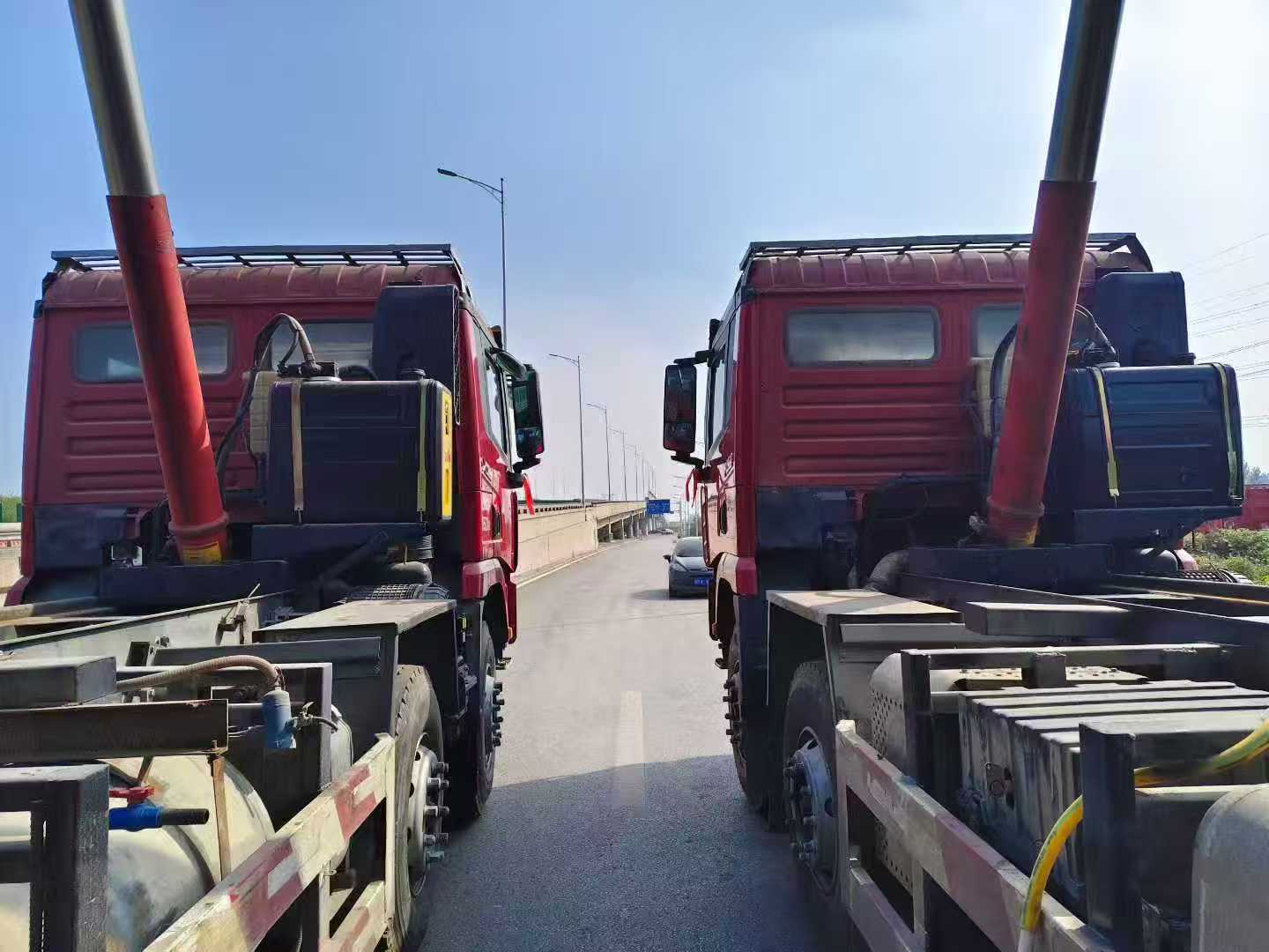 Premium Horse Hooves Vehicle 2020 - Image 5