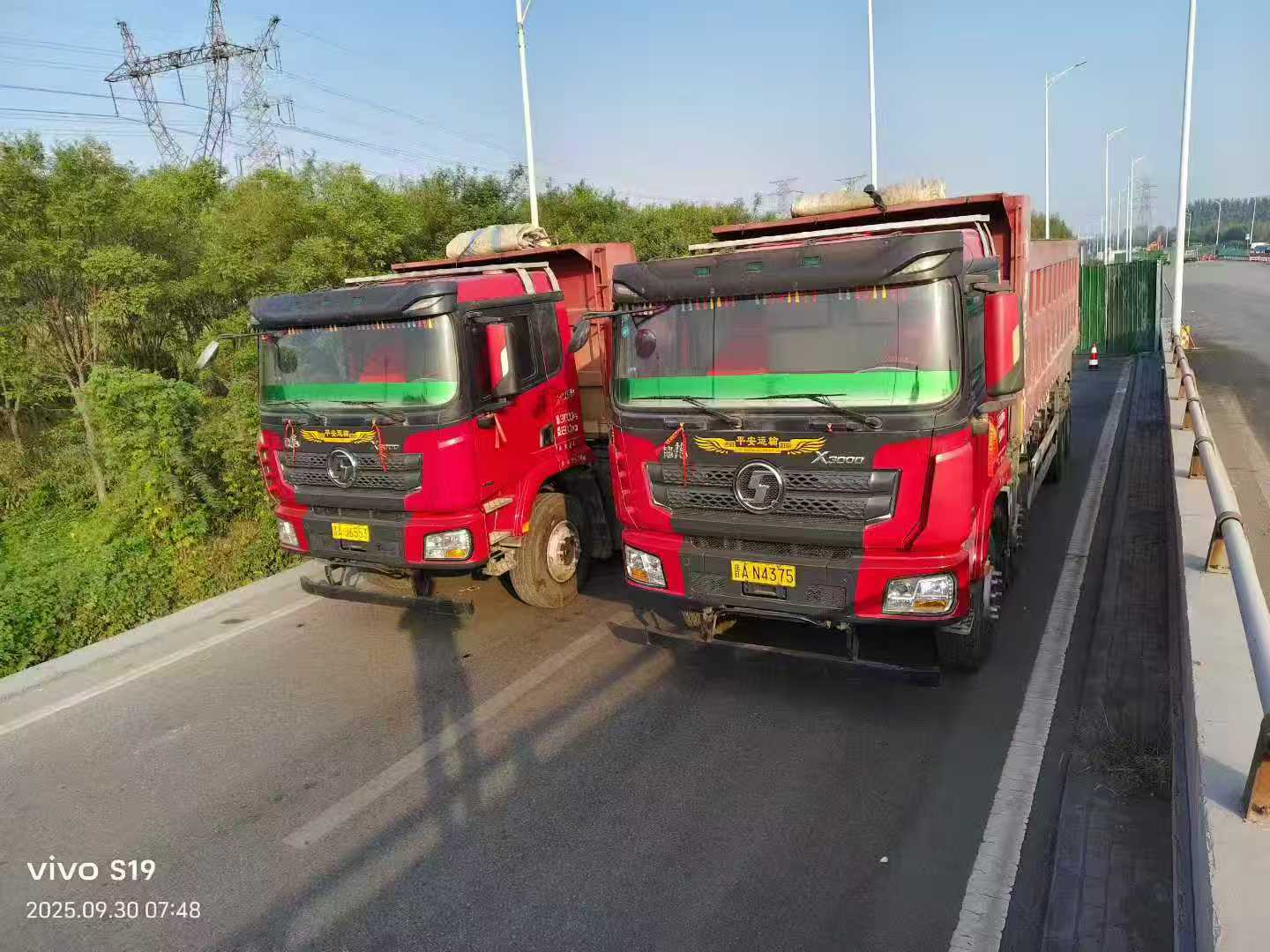 Multiple DeLonghi Trucks Fleet - Image 4