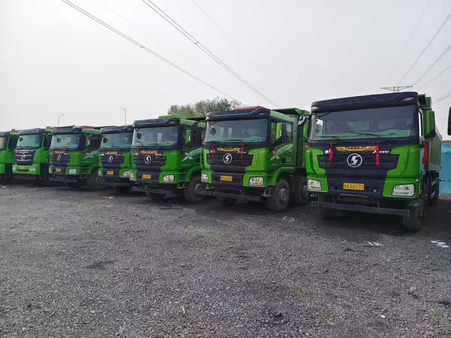 Multiple DeLonghi Trucks Fleet - Image 6