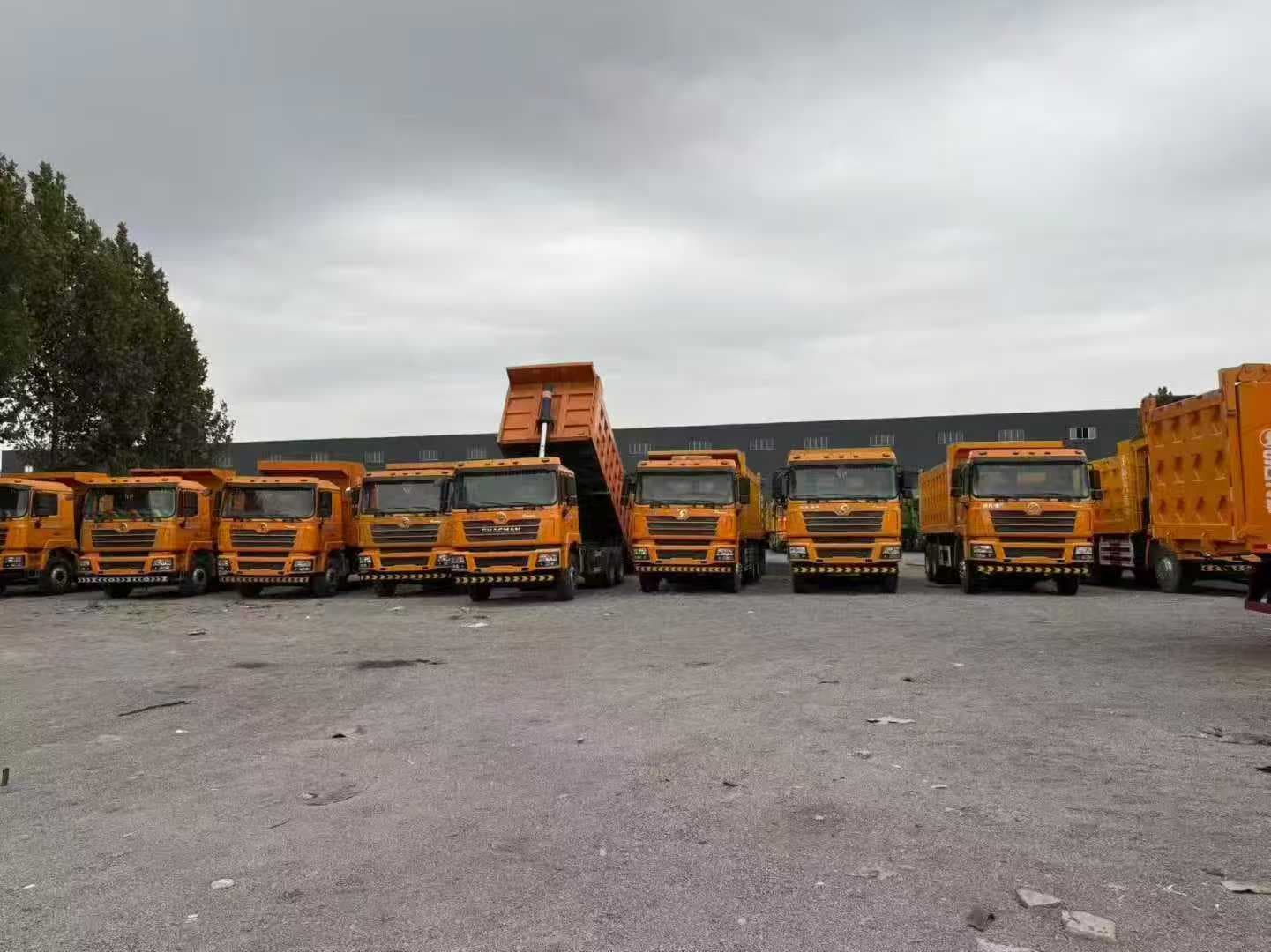 DeLonghi Thunderfly Mining Fleet 2022